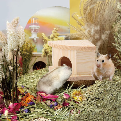 Joyzan Hamster Hideout Wooden House, Chamber Mouse Playing Hiding Chewable Ventilated Hut Pet Woodland Habitats Decor Small Animals Secret Peep Shed Dwarf Syrian Chinchillas Gerbils Hedgehog Rats Mice