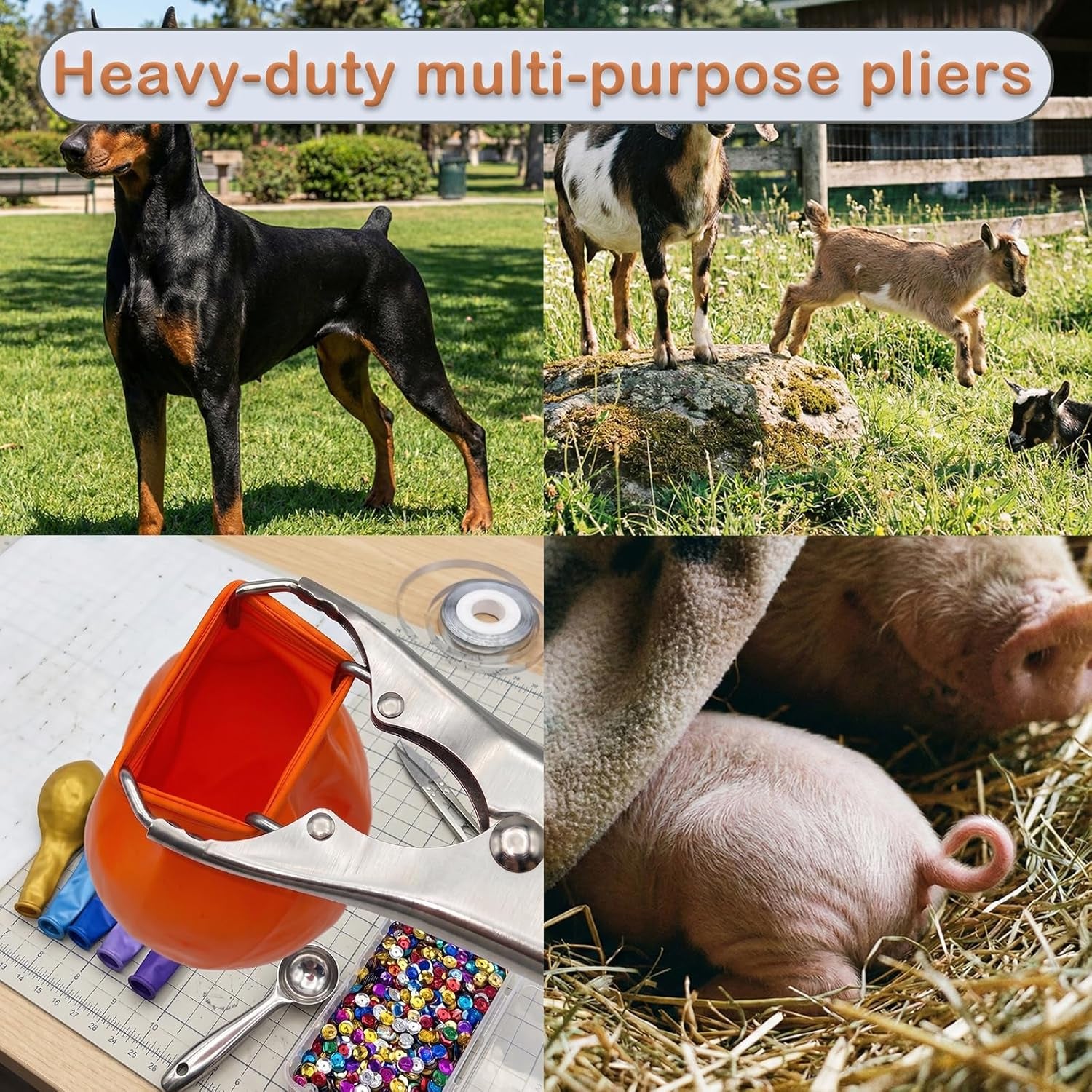 Goat Banding Kit, Livestock Castration Bander with Stainless Steel Expander Pliers, 100Pcs 2 Sizes Castrator Rings and Ring Installation Tool for Goats, Lambs, Calves, Sheep, Piglets